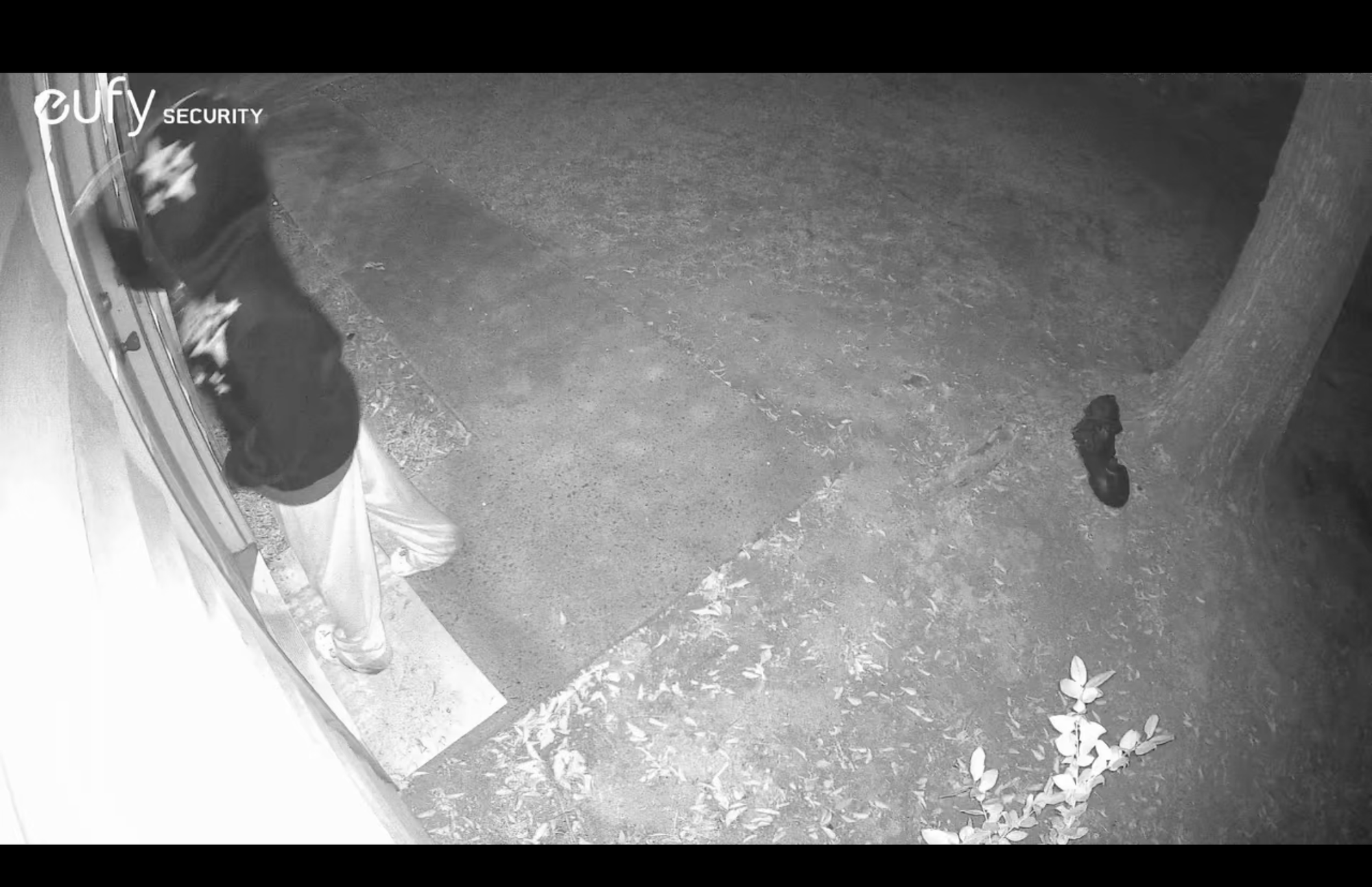 Yep, that's the actual guy that tried to break in.