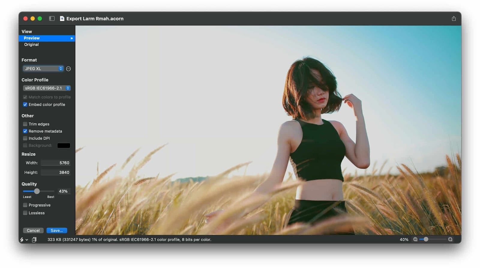 Acorn 8 Image Editor for Mac: Professional Editing Made Simple